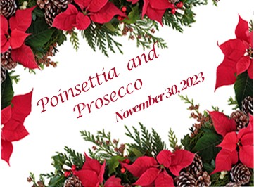 Poinsettia and Prosecco